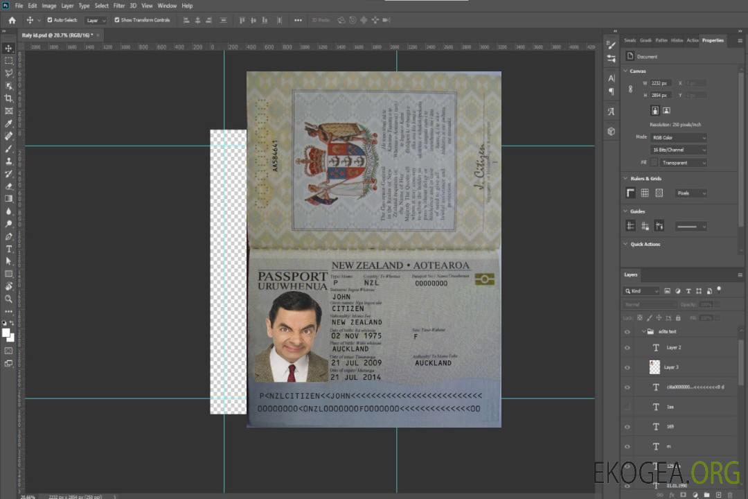 Passeport néo-zélandais (2005-2009) template
